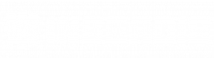 Logo de INSERDIS blanco